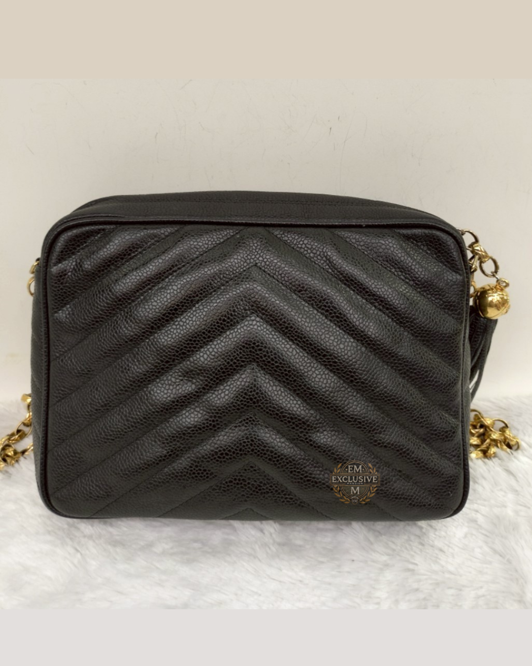 Chanel Camera Bag