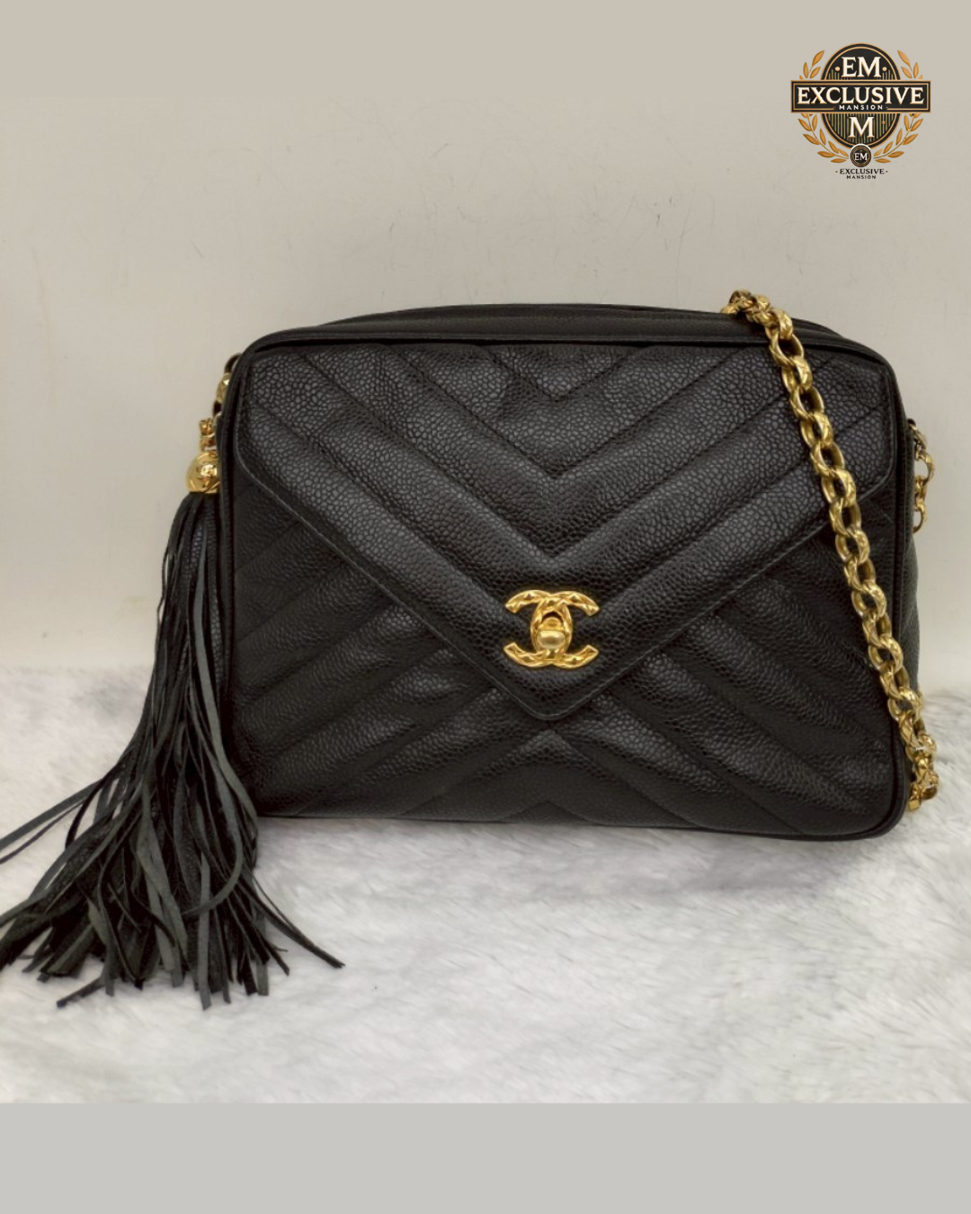 Chanel Camera Bag