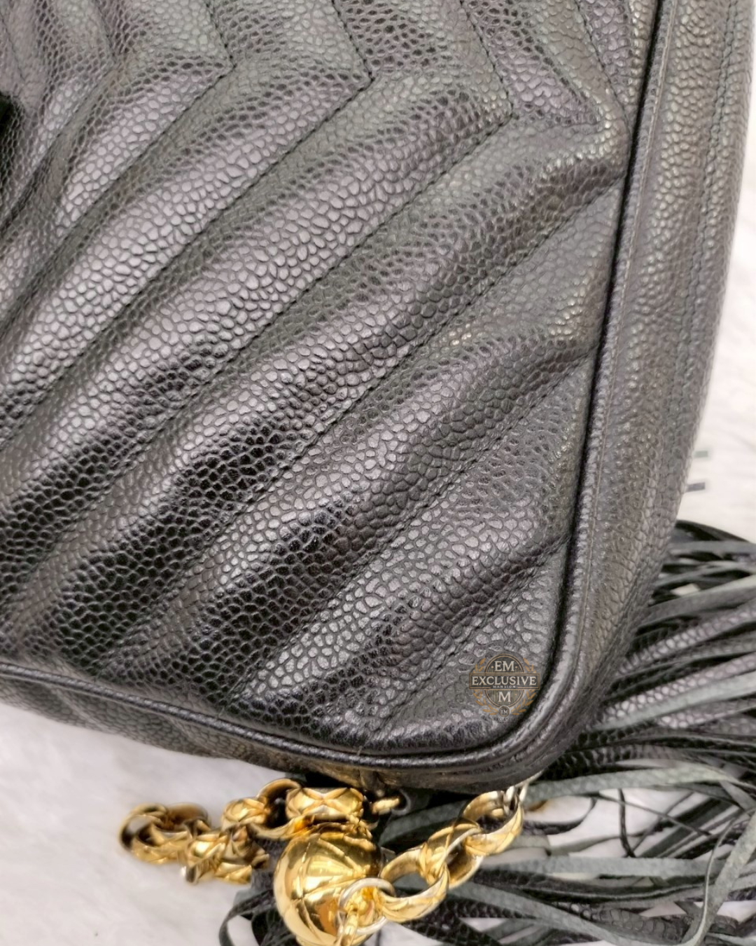 Chanel Camera Bag